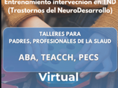 Entrenamiento  en iIntervenci&oacute;n psicopedagog&iacute;ca en TND 2026