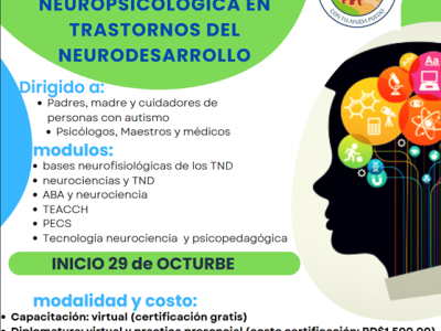 Capacitación  en intervención nueropsicopedagogía  en TND  Q4  2024 